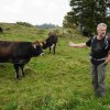 09 b Schluchensteig Etappe 4 - 6